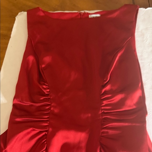 Cache Strapless Red Ruched Sheath Dress - Picture 10 of 13